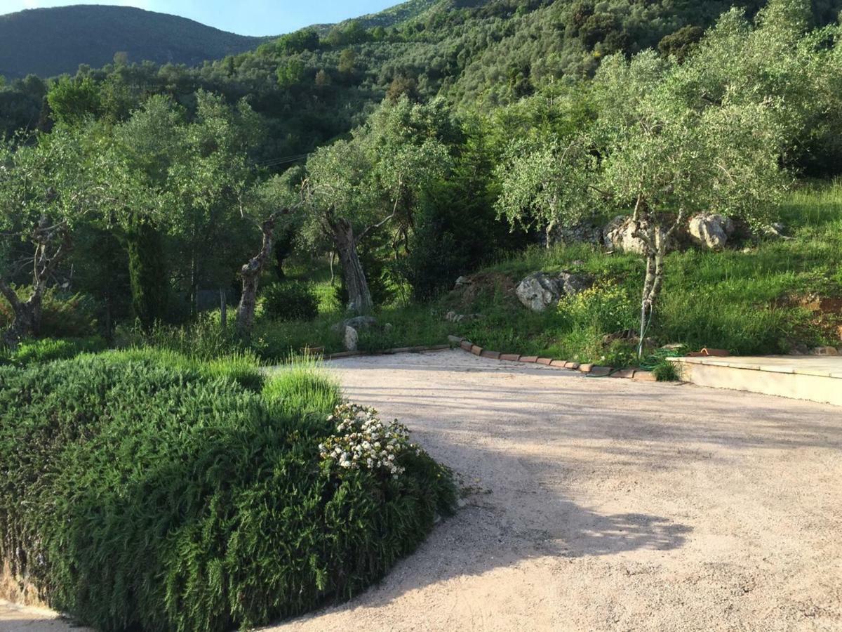 Valuable Rustic Tuscan Swimming Pool, Breathtaking View Of Камайоре Екстериор снимка